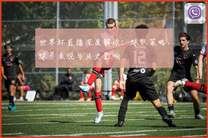 世界杯直播深度解读:球队策略、球员表现与历史影响