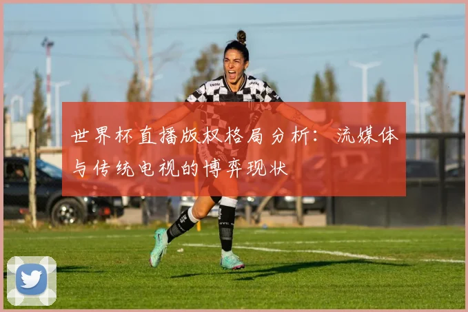 世界杯直播版权格局分析：流媒体与传统电视的博弈现状