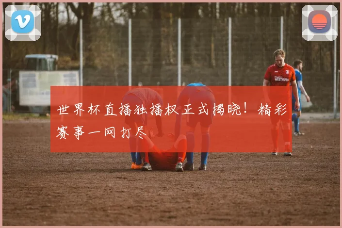 世界杯直播独播权正式揭晓!精彩赛事一网打尽