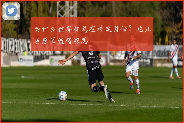 为什么世界杯总在特定月份？这几点原因值得深思
